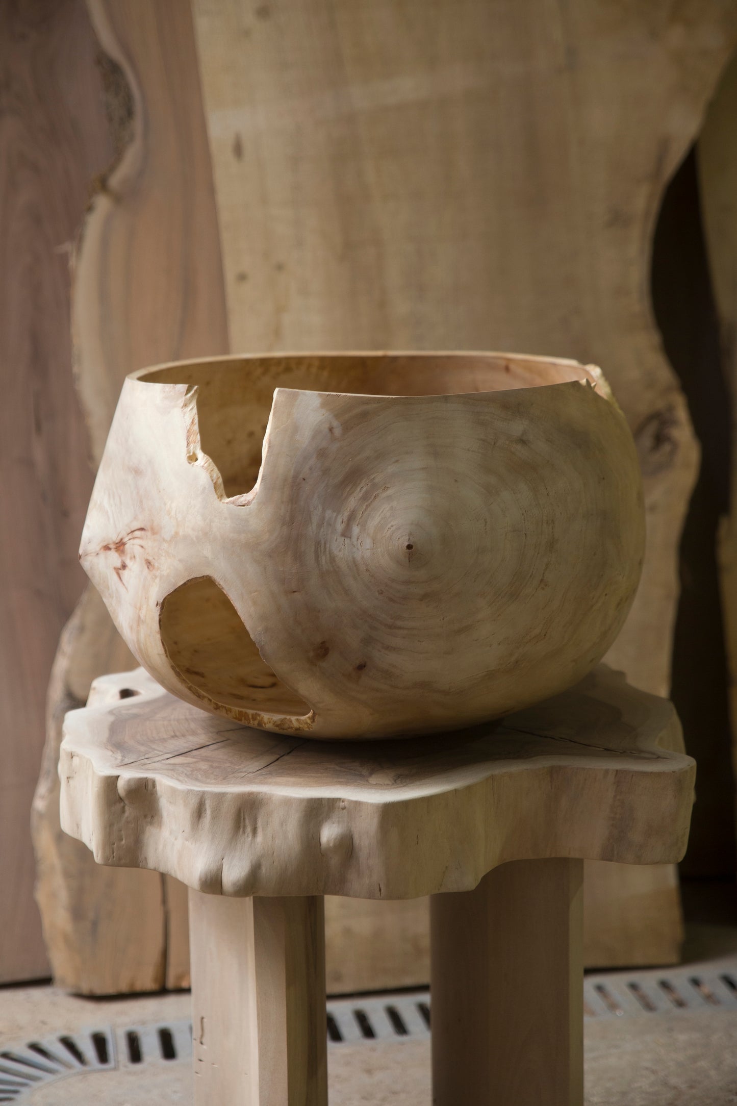 "Montserrat" - cuenco XXL decorativo de madera